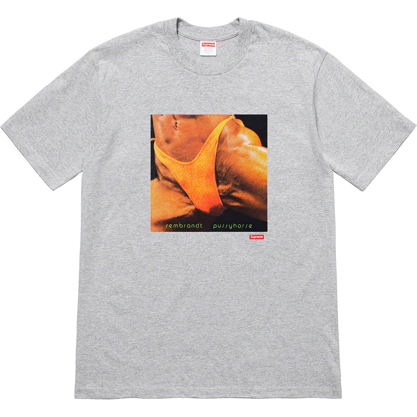 Supreme/Butthole SurfersRembrandt Pussyhorse Tee view 7
